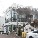동성로 파스타 맛집 다나 Dana 맛있는 꾸덕 크림파스타와 이색리소토