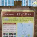 탄동천2 이미지