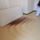 꽃샘길 화장실 | 행복 두배] 남양주 '봉선사 템플스테이' 내돈내산 후기 (예약방법, 가격, 가는 길, 준비물, 휴식형, 할인)