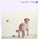 무지개투 이미지