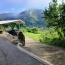 영생동물병원 이미지