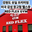 레드플렉스 짐 | 레드플렉스짐 혼자 운동하기 완벽한 공간이었어