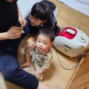 충남 서천 희리산해송자연휴양림 매미꽃 후기 아이와 갈만한 곳