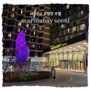 아라호텔 | 서울 근교 루프탑 수영장호텔, 마리나베이 서울 아라(김포) 숙박과 수영장 이용후기