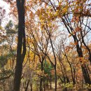 남부터미널역 계단 횡단보도(5번출구 뒤) | 서울 우면산 산행, 등산코스 : 남부터미널역 - 태극쉼터 - 우면산 소망탑(정상) - 유점사약수터 - 사당...