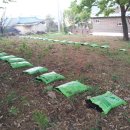 성석농장 이미지