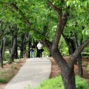 상동호수공원 이미지