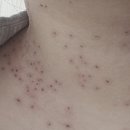 미드림성형외과의원 이미지