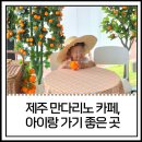 화안시 | 제주 만다리노 카페 아이 동반 후기, 키즈카페 별동 있는 함덕 카페