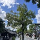 전주역 내 관광안내소 이미지