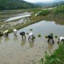 능주고등학교 이미지