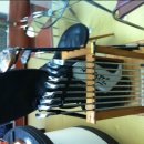 제이닥터골프 이미지