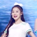 미미블리
