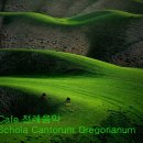 2025년 7월 주일 미사 선곡 포인트 이미지