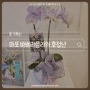 리플라워 | 할머니 팔순생신선물 추천 ㅣ 마포 바베리플라워 오로라 서양난 예뻐서 기절하는 호접난 후기