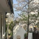 서판교로44번길 | [공지] (내돈내산 계약후기) 소규모 돌잔치 장소 연인의정원 판교점