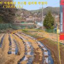 새봄농장(3) 이미지