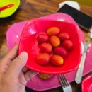 본김밥카페 이미지