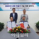 디와이피엔에프 이미지