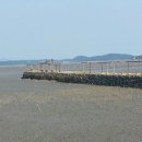 대포갯벌 이미지