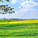 관식이 농장 이미지