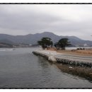 풍차언덕관광펜션 이미지