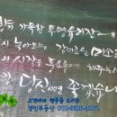 다다횟집 이미지