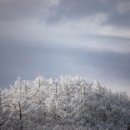 수협구내식당 이미지