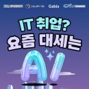 마이스정보사이트 - KDT 가비아 풀스택 AI 전액무료 부트캠프 5기 이미지
