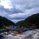 소나무목장 이미지