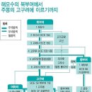 한국 고대사 체계 확실히 바꿔야 한다 이미지