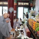“정화·수행·전법에 바친 삶”…월탄대종사 원력 되새겨 이미지