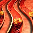 라온힐요양병원 이미지