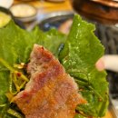 집 | 광양 중마동 구사정 고기집 내돈내산 후기🥩