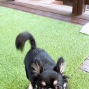 장태산휴펜션 이미지