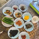 서광장 | 서광장 전주 완주 평상 대여 백숙과 계곡 여름휴가 후기