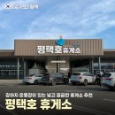 SK서평택LPG충전소 | 익산평택고속도로 평택호휴게소 애견동반 펫파크 위치 시설 총정리