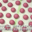 황둔 PC 네이버블로그
