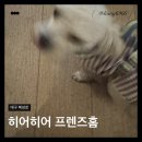 대구 북성로 카페 겸 술집 히어히어 프렌즈홈 후기