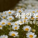 삼정자연치유한의원 이미지