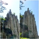 1,257차 25년10월 27,28일 청주화요성안산악회 전남 완도 금당도, 전남 고흥 애도(쑥섬) 섬산행 예약자 명단 이미지