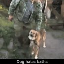 목욕어때 이미지