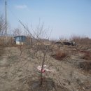 수양2 농장 이미지