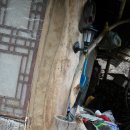 녹전초교 이미지