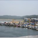 태안목장 이미지