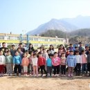 당포초등학교 이미지