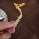 맥주랑먹태 | 올드문래 맥주 먹태구이 꿀조합 웨이팅 각오하고 간 이유 내돈내산