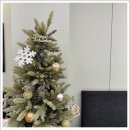 서울이유있는치과의원 이미지