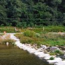 선샤인풀빌라 이미지