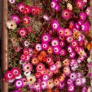 용당우리의원 이미지